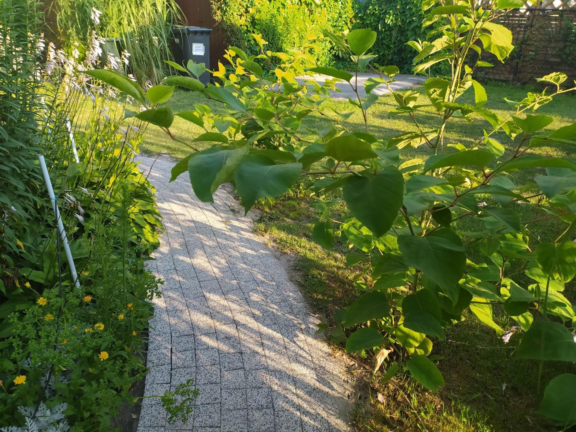 Wczasy Sandi Chlapowo Wladyslawowo Exterior photo